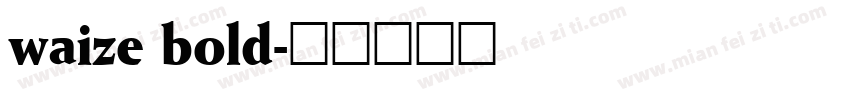 waize bold字体转换